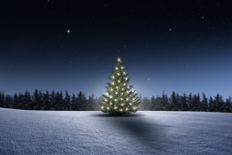 Weihnachtsmen im Hotel 3 Sternen Brunegg